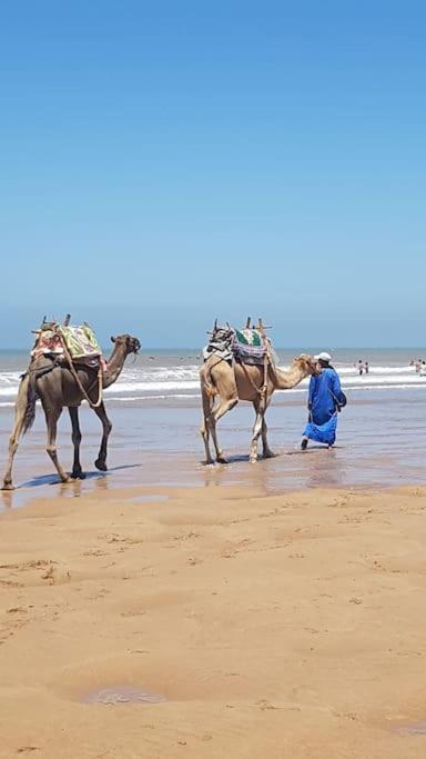 Charmant Riad Pour Familles Ou Groupes - Dar Mama Essaouira Exterior photo